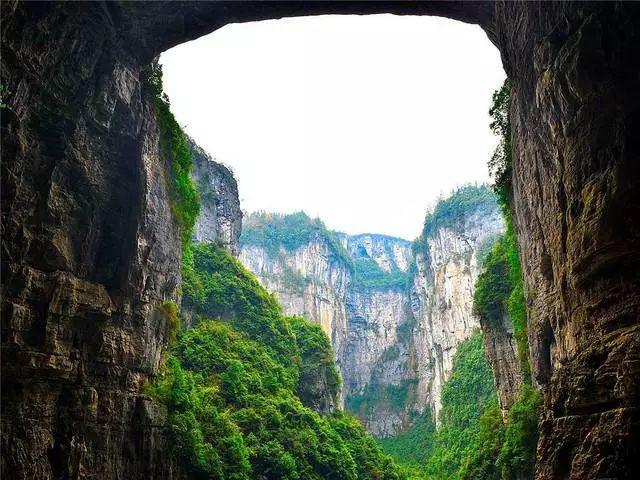 救援卡通小象
